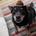 Profile picture of Sandra
